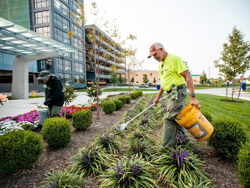 Commercial Landscaping