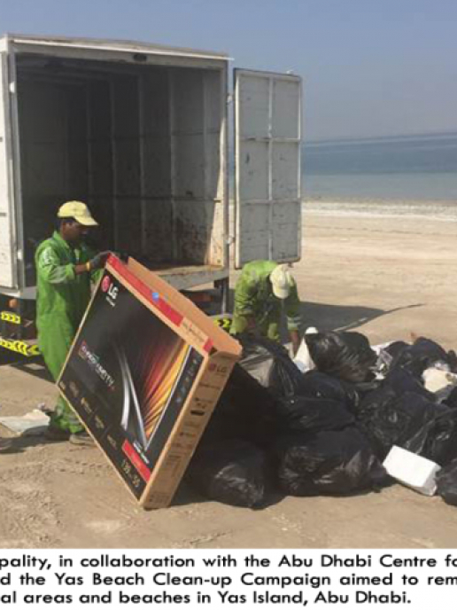 Yas Beach Clean Up Sees 3 Tonnes Of Waste Removed Fm Middle East