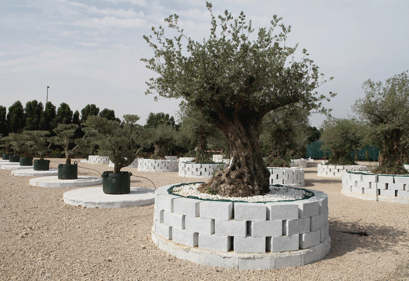 After successful landscaping provisions to Al Barari, Greenworks is now taking its offering to the external market. After successful landscaping provisions to Al Barari, Greenworks is now taking its offering to the external market.