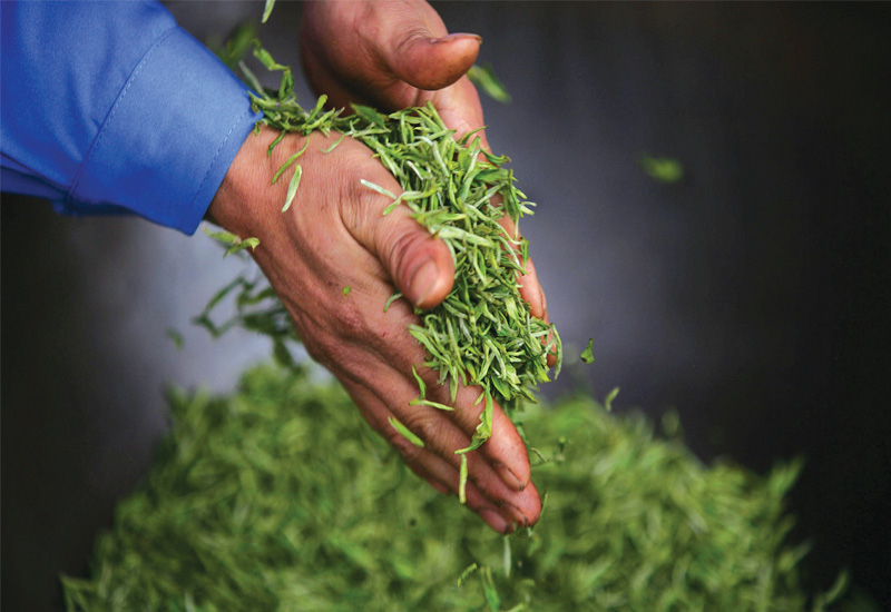 Going green with landscape Sustainable landscape is something the FM industry needs to implement. Going green with landscape Sustainable landscape is something the FM industry needs to implement.