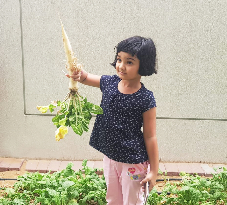 Wasl Properties and Emrill are working to transform concreted frontages and vacant sand areas within Dubai residential communities into vegetable gardens. Wasl Properties and Emrill are working to transform concreted frontages and vacant sand areas within Dubai residential communities into vegetable gardens.